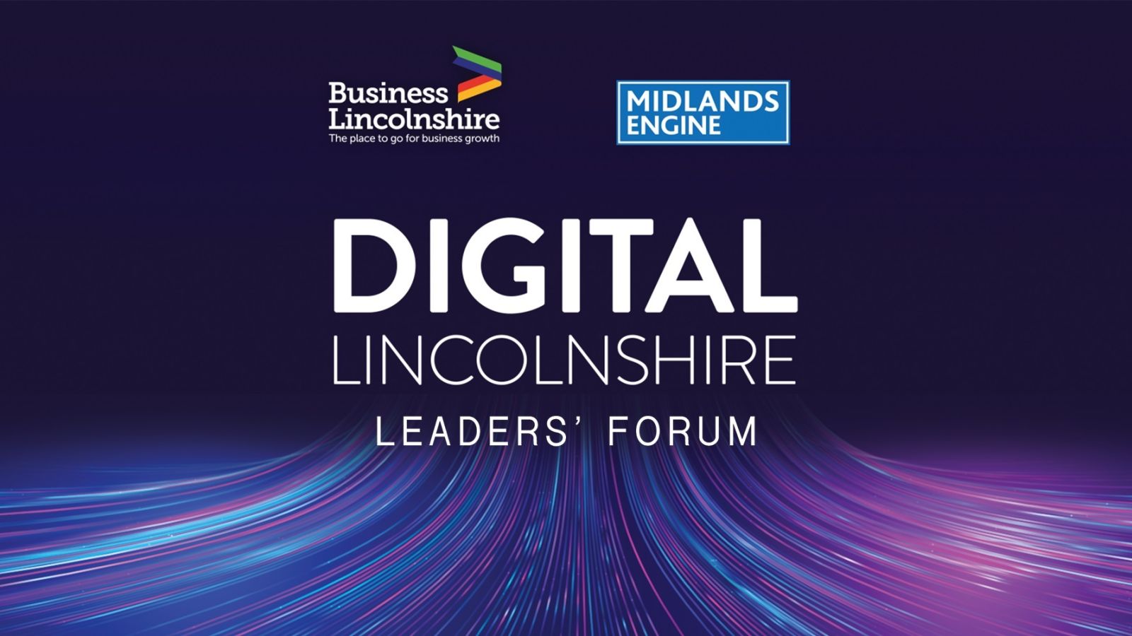 Digital Lincolnshire Leaders' Forum - 20th November 2024