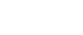 Tallys 2025 Logo